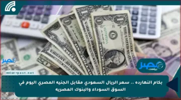 بكام النهاردة .. سعر الريال السعودي مقابل الجنيه المصري اليوم في السوق السوداء والبنوك المصرية